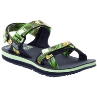 Sapatos Mulher Sandálias Jack Wolfskin Outfresh Deluxe Verde, Azul marinho