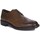 Sapatos Homem Sapatilhas Geox Cognac Castanho