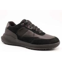 Sapatos Homem Sapatilhas Geox  Preto