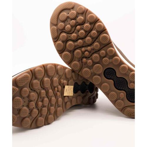 Geox  Castanho