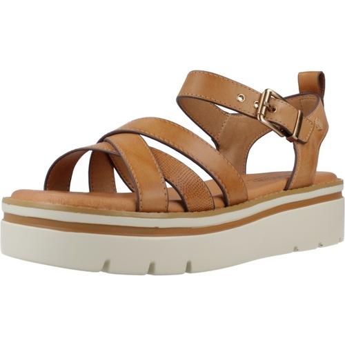 Carmela 161394C Castanho