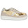 Sapatos Mulher Sapatilhas Serafini FIRENZE Bege / Dourado