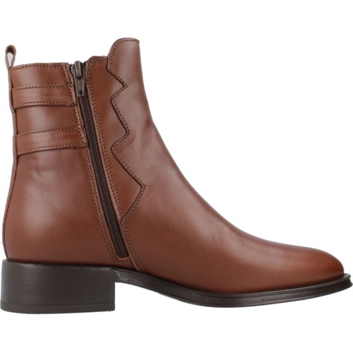 Alpe COUTURE Castanho