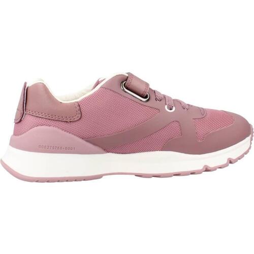 Biomecanics 231007B Rosa