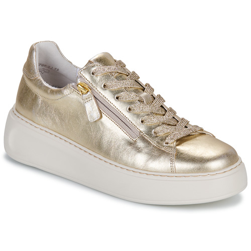 Sapatos Mulher Sapatilhas Gabor 66488 Ouro