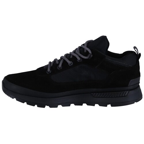 Timberland Field Trekker Low Wp Preto