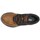 Sapatos Homem Botas baixas Icebug Larvik Hemp Biosole Preto, Castanho