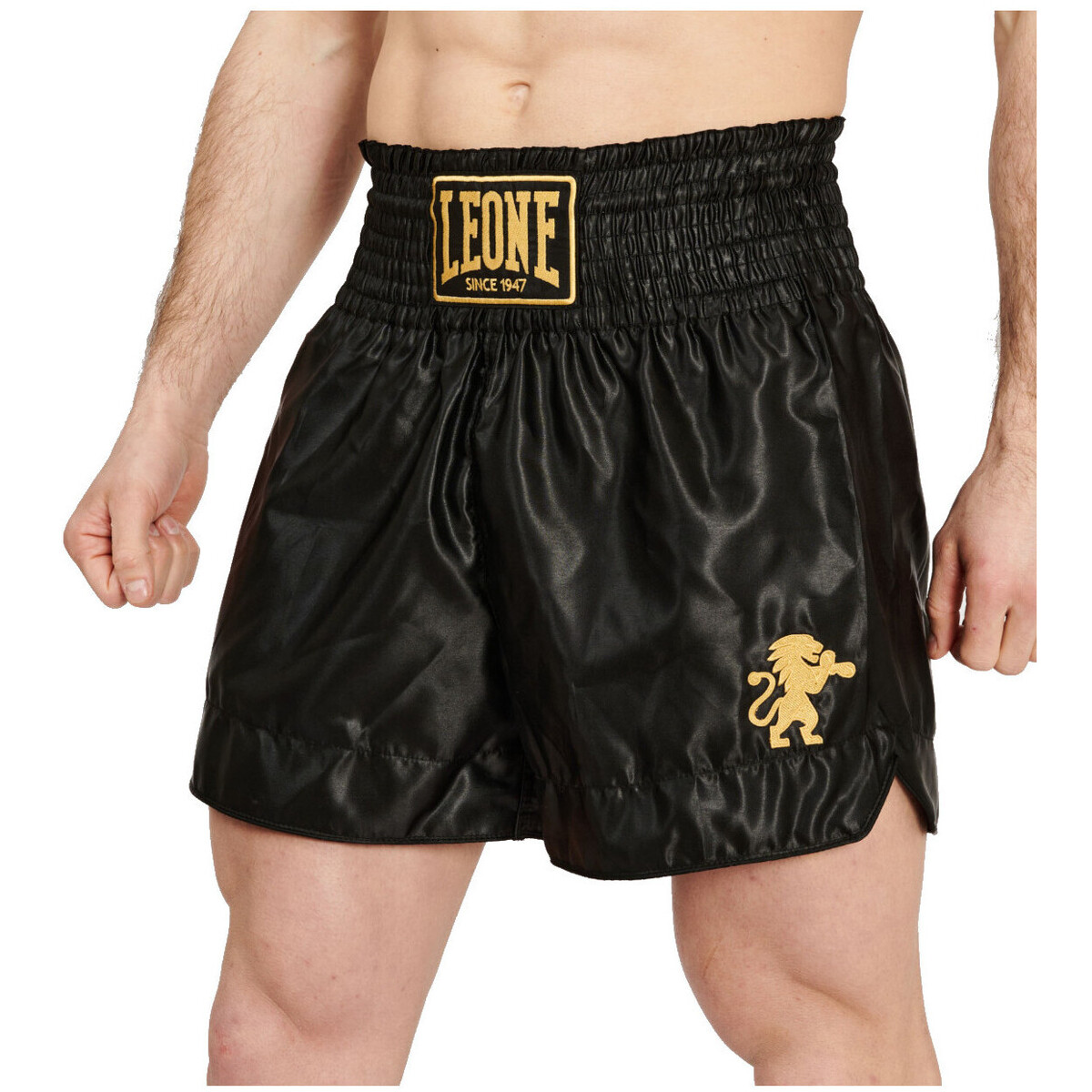 Textil Homem Shorts / Bermudas Leone AB970 Preto