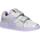 Sapatos Mulher Multi-desportos Geox J924HC 0GNAJ J KOMMODOR J924HC 0GNAJ J KOMMODOR