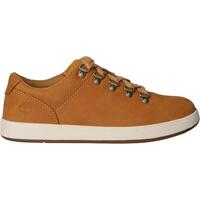 Sapatos Criança Sapatos & Richelieu Timberland A2161 DAVIS A2161 DAVIS