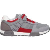 Sapatos Criança Multi-desportos Geox J826NA 014AF J ALFIER J826NA 014AF J ALFIER