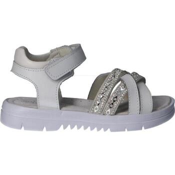 Sapatos Mulher Escarpim Urban B144164-B3286 B144164-B3286