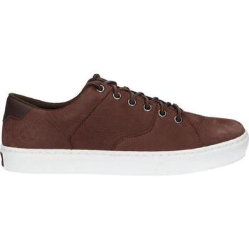 Sapatos Homem Sapatos & Richelieu Timberland A2GZJ ADV 2 OX A2GZJ ADV 2 OX
