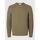 Textil Homem camisolas Selected 16094577 CAI-CALAMATA Verde