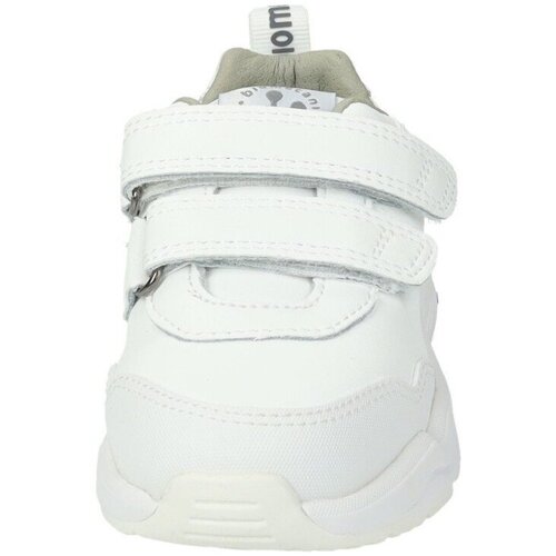Biomecanics  Branco