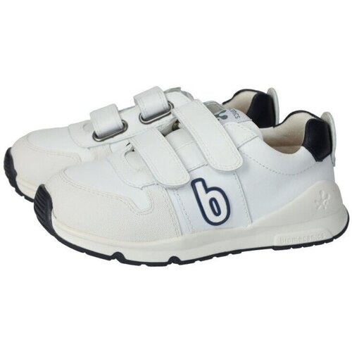 Biomecanics  Branco