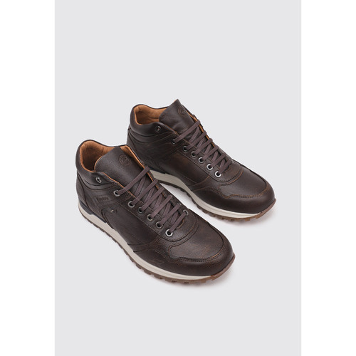 Kangaroos 643 Castanho