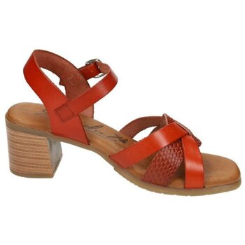 Sapatos Mulher Sandálias Sandali  
