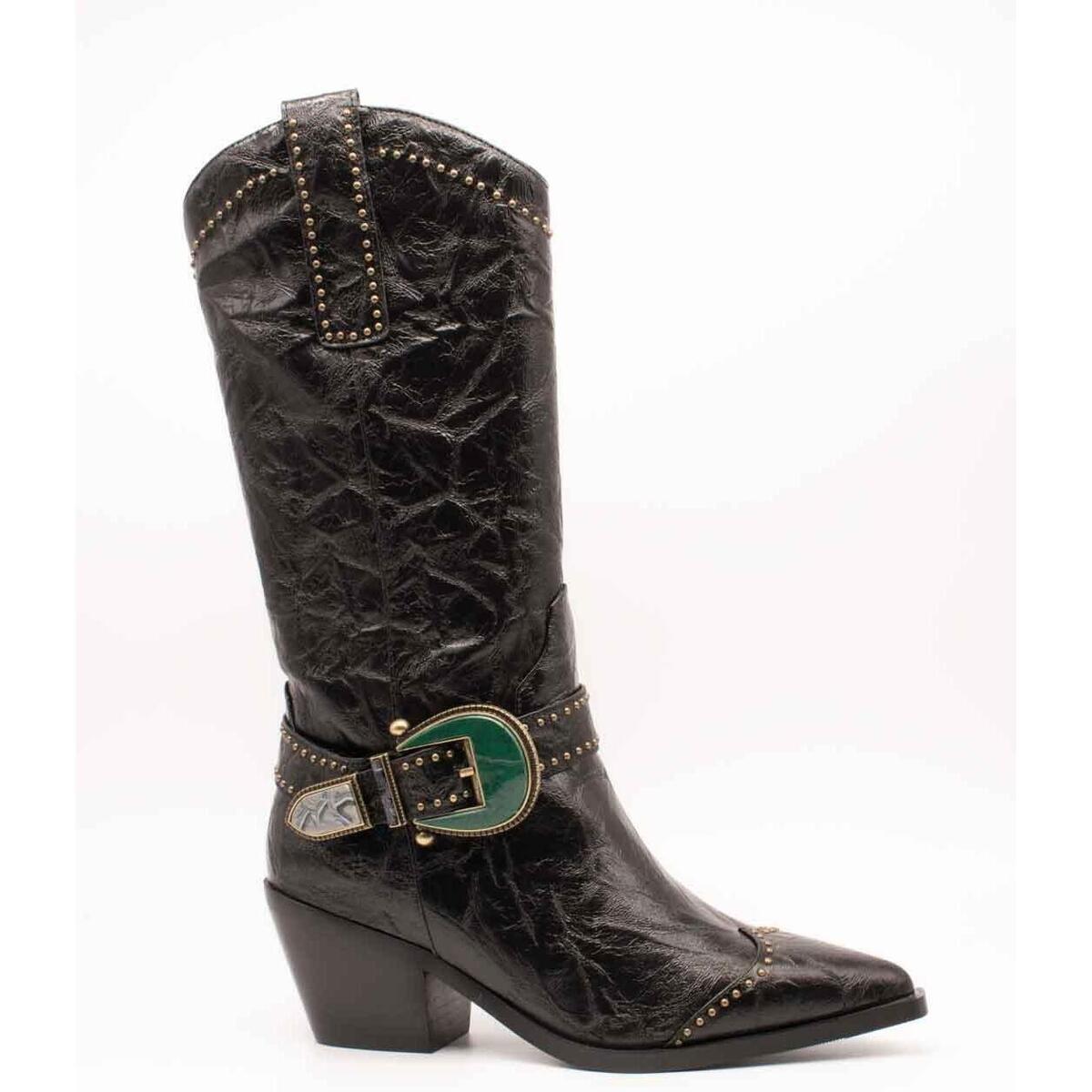Sapatos Mulher Botas Noa Harmon  Preto