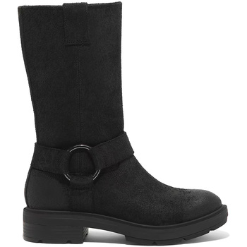Sapatos Mulher Botas Timberland  Preto