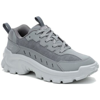 Sapatos Homem Sapatilhas Caterpillar P726097 Cinza
