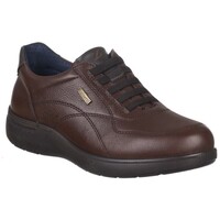Sapatos Homem Sapatilhas Luisetti SAPATILHAS  31018 Castanho