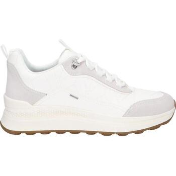 Sapatos Mulher Sapatilhas Geox D46WPD 05422 D SPHERICA D46WPD 05422 D SPHERICA
