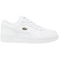 Sapatos Mulher Sapatilhas Lacoste  Branco