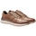 Sapatos Homem Sapatilhas TBS SULIZIP Castanho