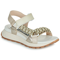 Sapatos Mulher Sandálias Hispanitas MAUI-HV253898 Bege / Toupeira