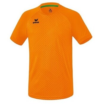 Textil Homem T-Shirt mangas curtas Erima 3132107 Laranja