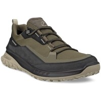 Sapatos Homem Sapatilhas Ecco Ult trn Low Verde
