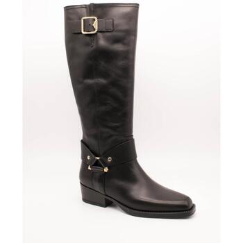 Sapatos Mulher Botas Alpe  Preto