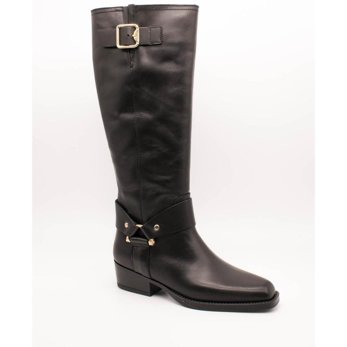 Sapatos Mulher Botas Alpe  Preto
