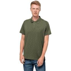 Textil Homem T-Shirt mangas curtas Jack Wolfskin Travel Verde
