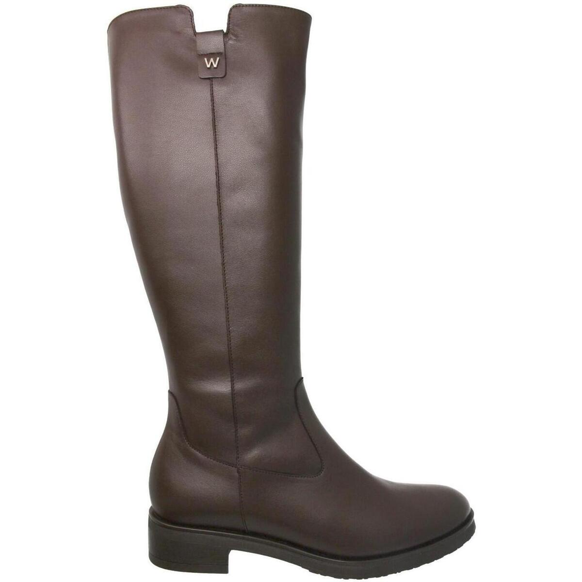 Sapatos Mulher Botas Wonders  Castanho