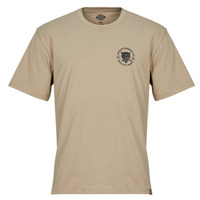 Textil Homem T-Shirt mangas curtas Dickies WRENCH SS TEE Bege