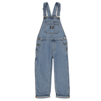 Textil Rapariga Macacões/ Jardineiras Vans Groundwork Denim Overall GR Ganga
