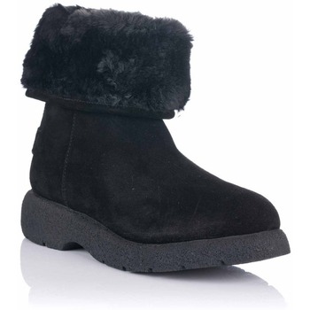 Sapatos Mulher Botas Gioseppo WILTON Preto