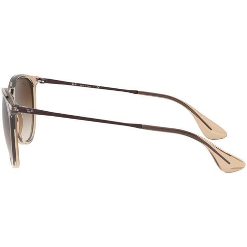 Ray-ban ERIKA 0RB4171 Castanho