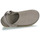 Sapatos Mulher Chinelos UGG GOLDENSTAR CLOG Toupeira