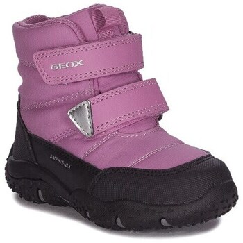 Sapatos Criança Botas de neve Geox B4654B0FU50C8062 Preto, Roxo