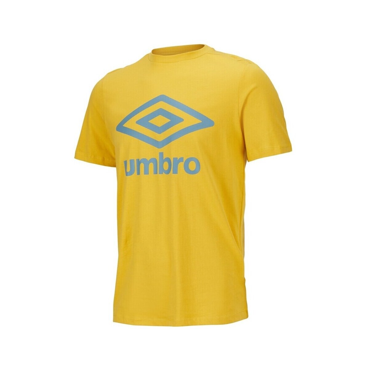 Textil Homem T-Shirt mangas curtas Umbro 65352UJW9 Amarelo