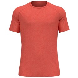 Textil Homem T-Shirt mangas curtas Odlo X-alp Pw 115 Vermelho