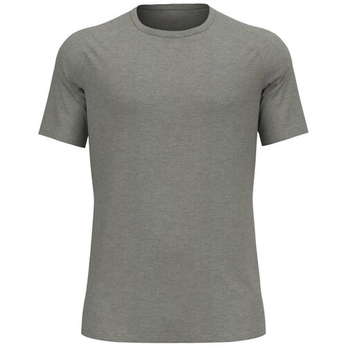 Textil Homem T-Shirt mangas curtas Odlo X-alp Pw 115 Cinza