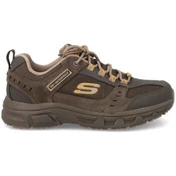 Sapatos Homem Sapatilhas Skechers  Castanho