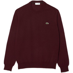 Textil Homem camisolas Lacoste  Bordô
