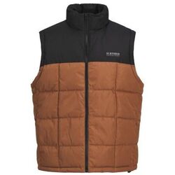 Textil Homem Casacos  Jack & Jones 12256903 BEN BODYWARMER-MOCHA BISQUE Bege