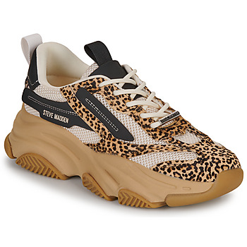 Sapatos Mulher Sapatilhas Steve Madden POSSESSIONL Bege / Leopardo