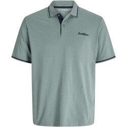 Textil Homem Polos mangas curta Jack & Jones Jor Tango Polo Verde
